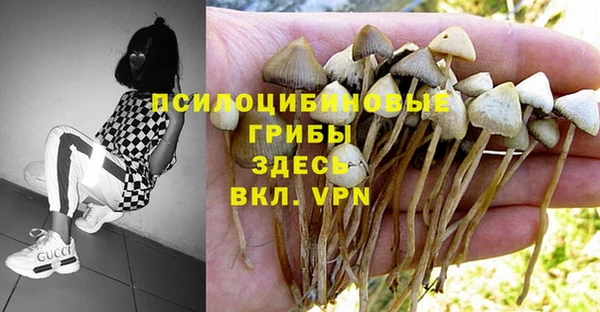 МДПВ Аркадак