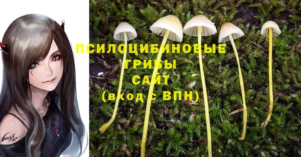 тгк Сафоново